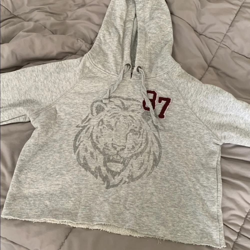 cropped hoodie